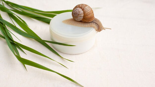 Mucine d’Escargot : L’Ingrédient Miracle de la Skincare Coréenne